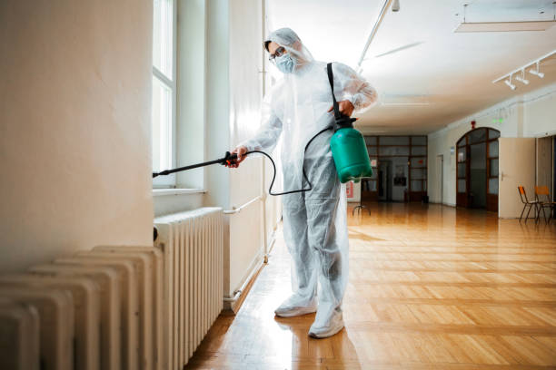 Best Real Estate Pest Inspections  in Long Valley, NJ